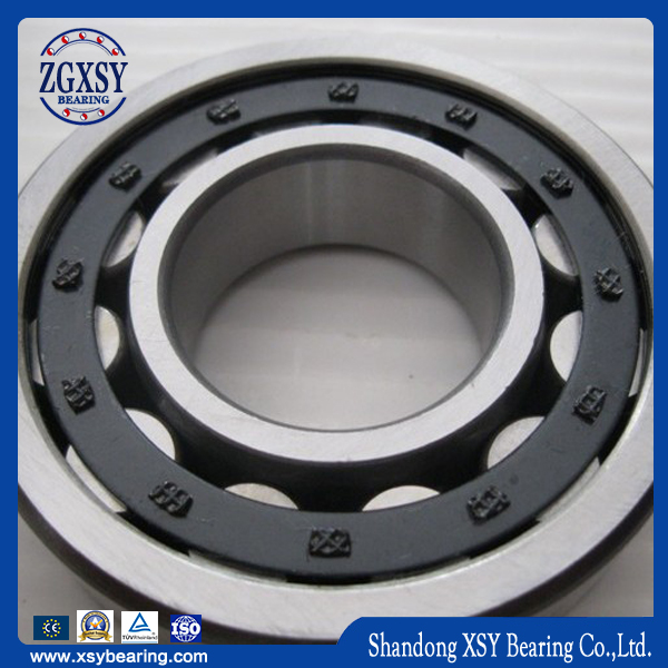 1000 Series Cylindrical Roller Bearings