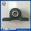 UC UCP 201 202 203 205 Pillow Block Bearing with High Quality