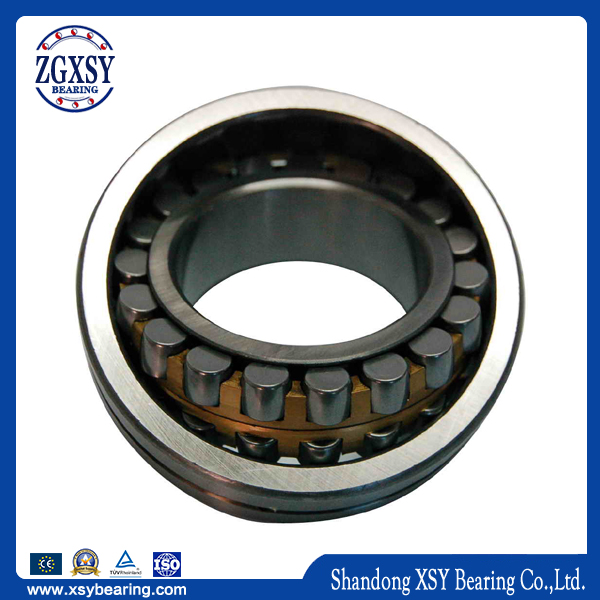 Sealed Spherical Roller Bearing 2638 with Steel Cage D190