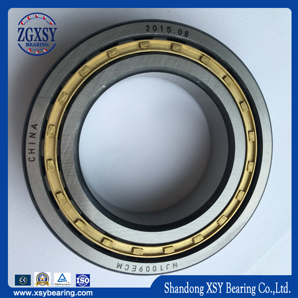 Cylindrical Roller Bearing N209e Rolling Mill Bearings