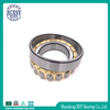 March Expo Hot Sales Cylindrical Roller Bearing Nu206