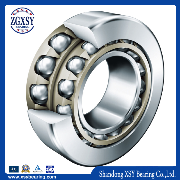 High Precision Angular Contact Ball Bearing 7915b 2CS Bearing Ceramic