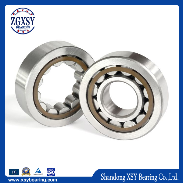 Original Qualityjapan Bearing Nu 204 NSK Cylindrical Roller Bearing Nj204 Nup204