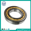 Wheel Manufacturers List Cylindrical Roller Bearing for Toyota Vios